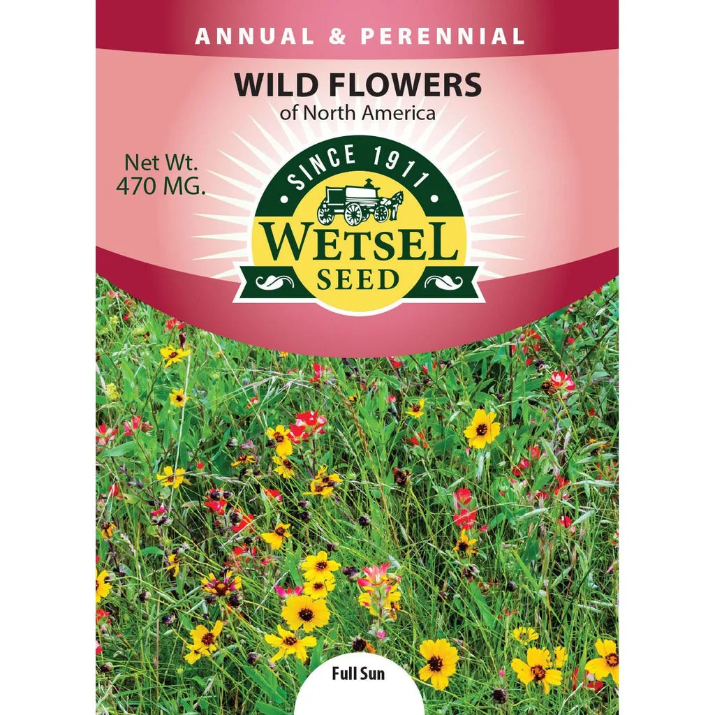 North America Wildflower Mix 470mg - Image 2