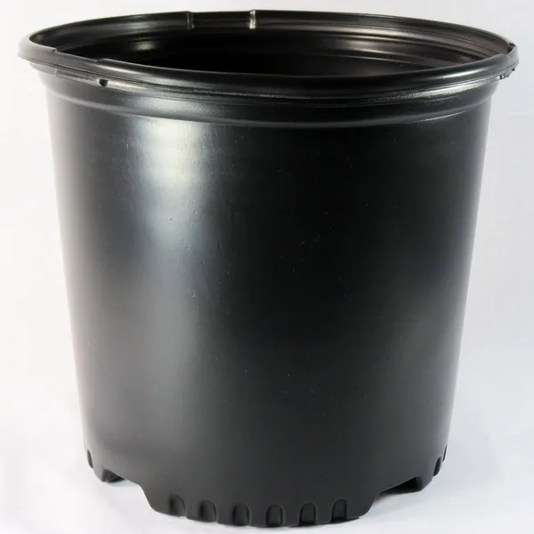 NS PF1000, TRADE SIZE 10 FOLIAGE, 2.25 GALLON, BLACK 9-5/8"X9-1/8"), 2Gallon (Case of 89)