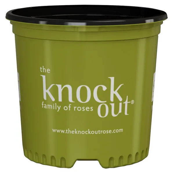 NS PF1200 KNOCK OUT ROSE, TRADE SIZE TRUE 3 GALLON, 3 GALLON, 3Gallon — Case of 71