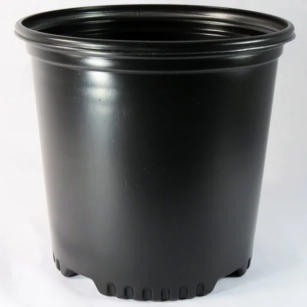 NS PF600CU CUSTOM, TRADE SIZE 2 GALLON, 1.5 GALLON, BLACK, 2Gallon — Case of 90