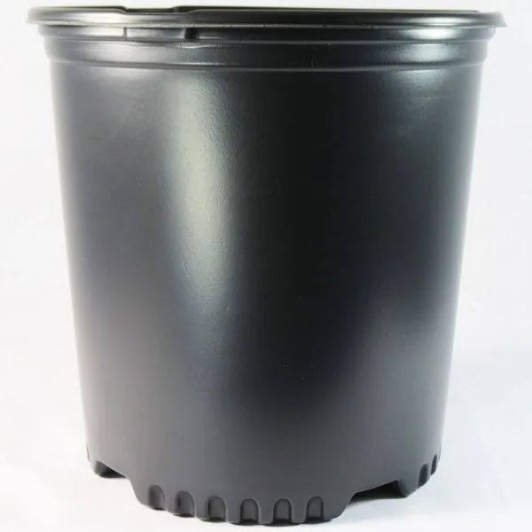 NS PF800, TRADE SIZE TRUE 2 GALLON, 2 GALLON, BLACK, 2Gallon — Case of 87