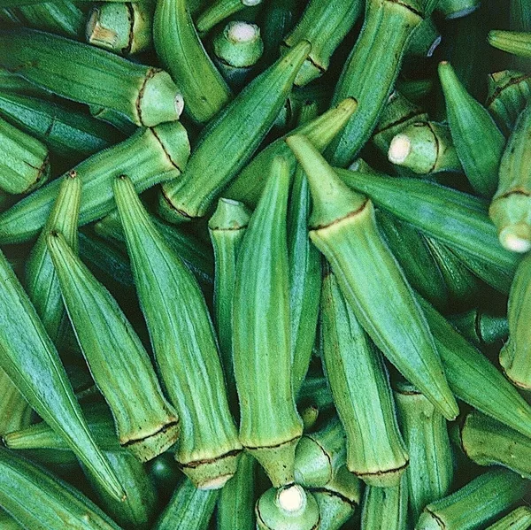 Okra, Clemson Spineless