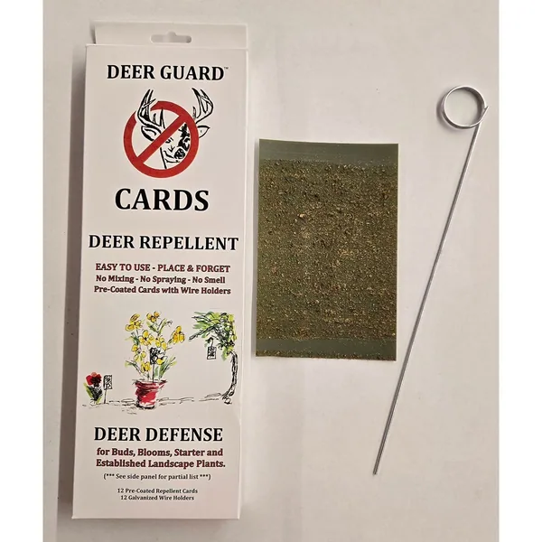 Olson 12ct 4in x 6in Stiky Deer Cards with Wire Holders