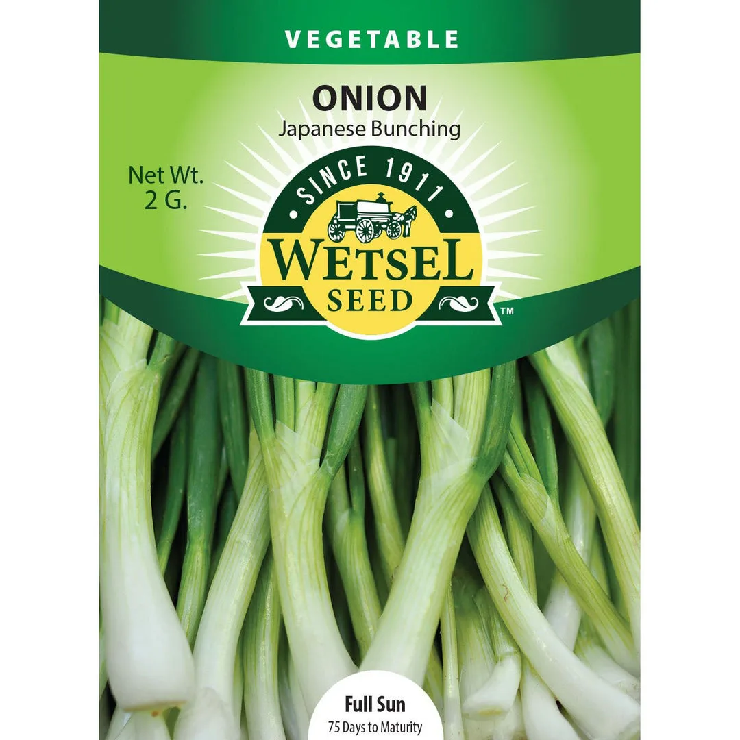 Onion, Japanese Bunching 2 Grams - Image 2