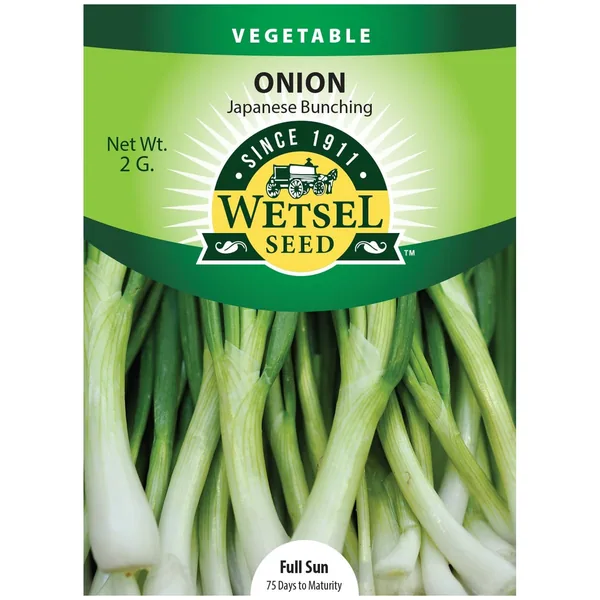 Onion, Japanese Bunching 2 Grams