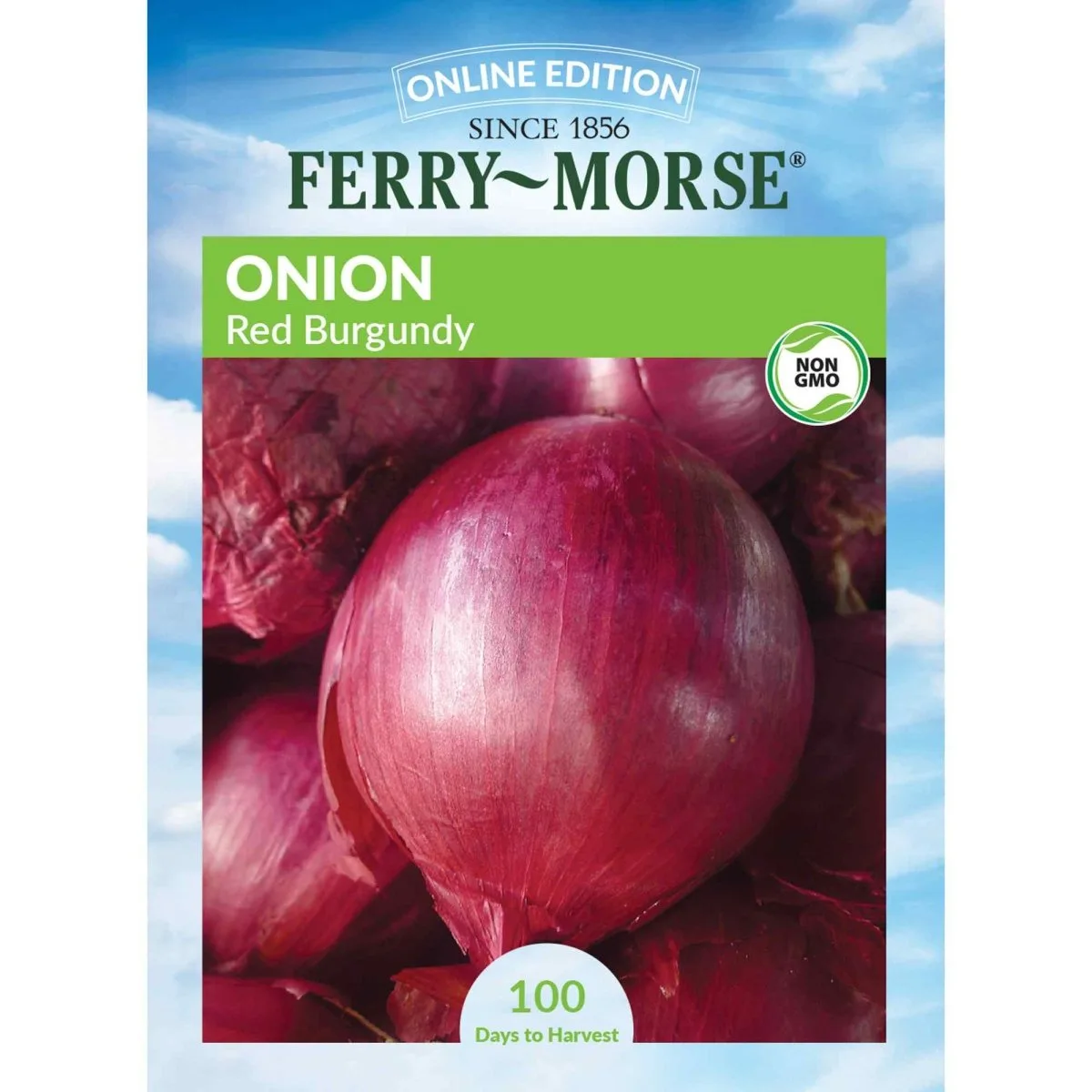 Onion, Red Burgundy 2 Gram - Image 2