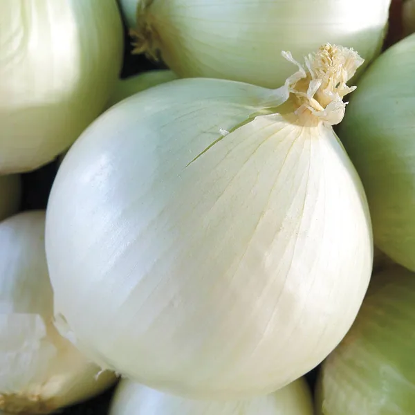 Onion, White Sweet Spanish 1/2oz