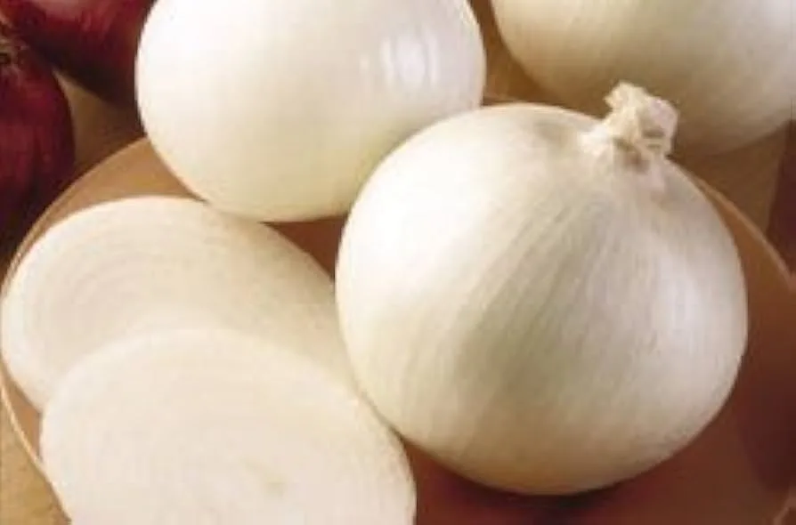Onion, White Sweet Spanish 5000 Seed Count - Image 2