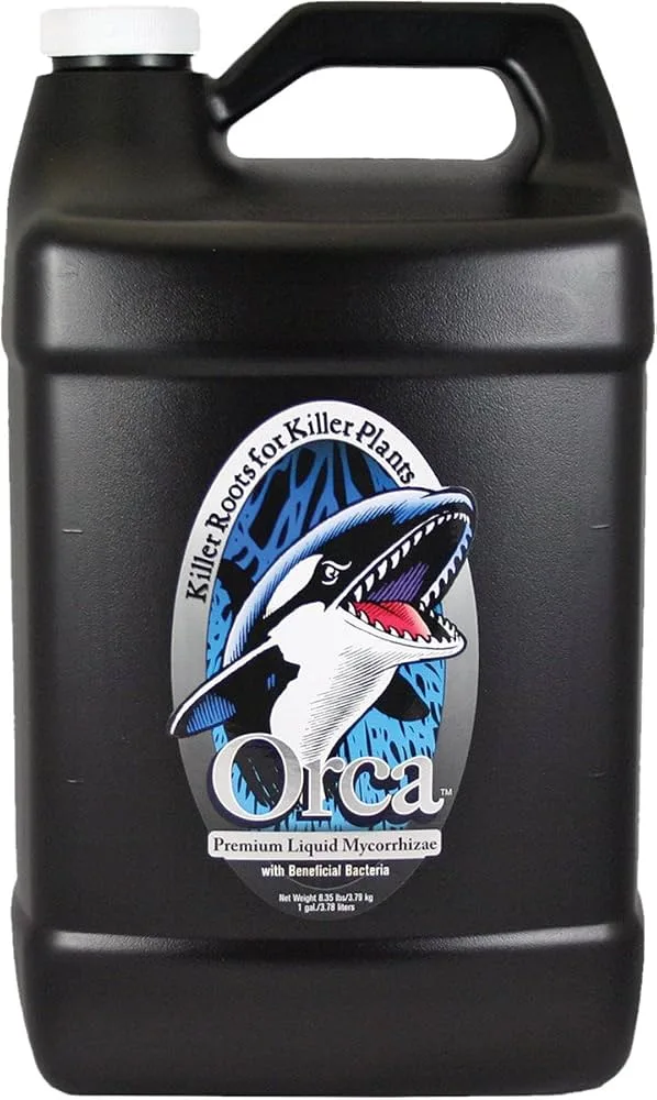 Orca 1 Gallon - Image 2