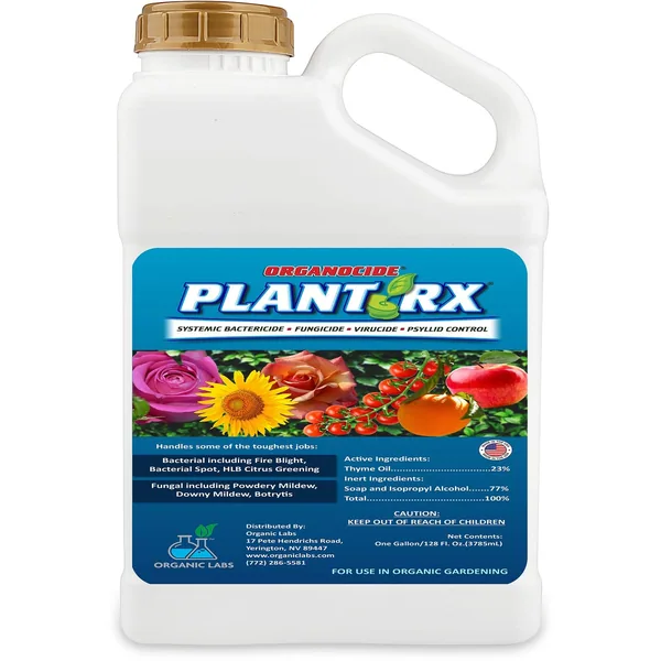Organocide Plant RX Concentrate