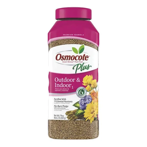 Osmocote Plus 2 lbs Outdoor & Indoor Plant Food - Image 2