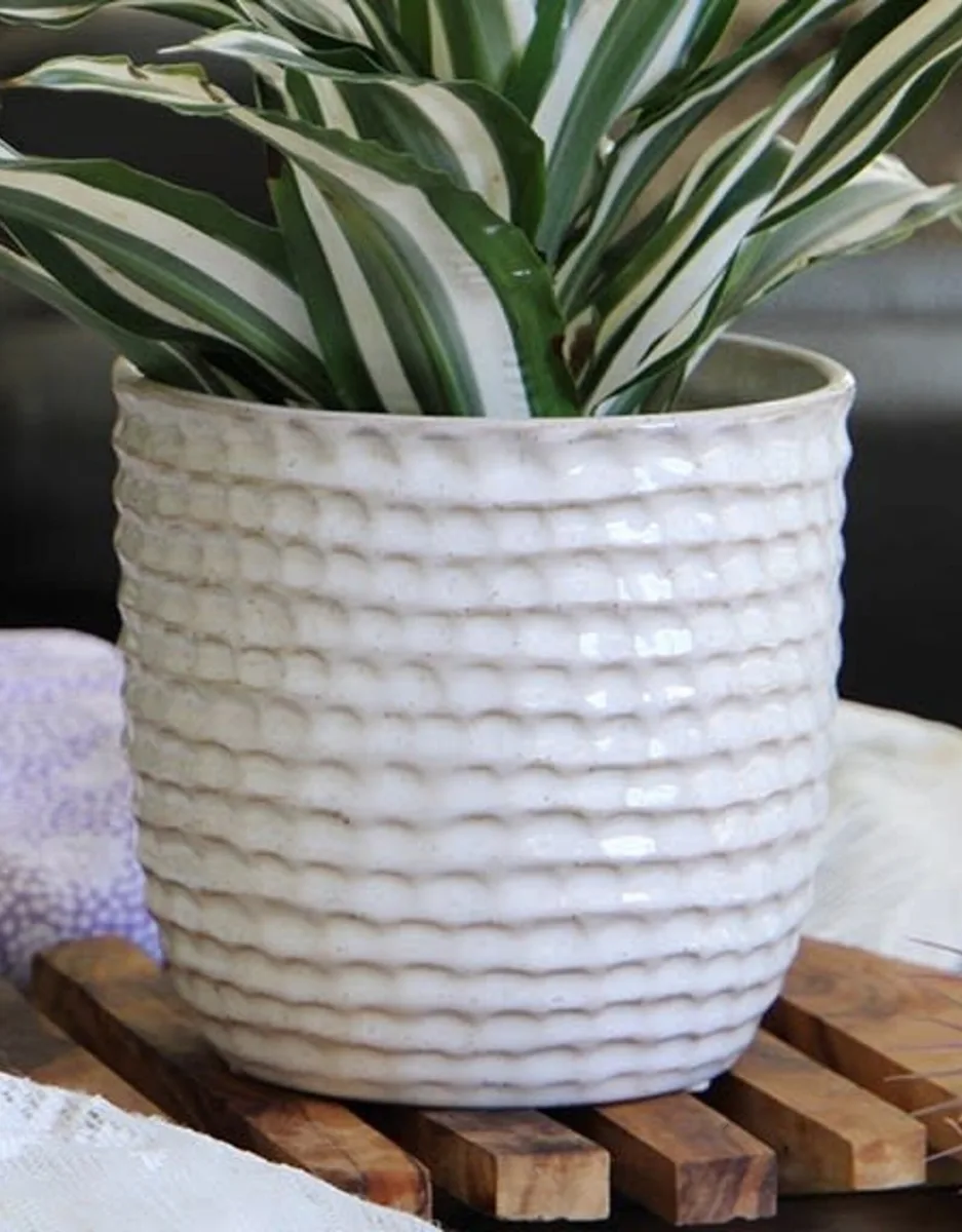 Palm Spring 5.5" Brush Comb Hbs Planter - Image 2