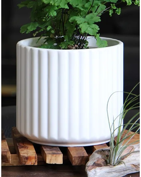 Palm Spring 5.5" Brush Comb Mwh Planter