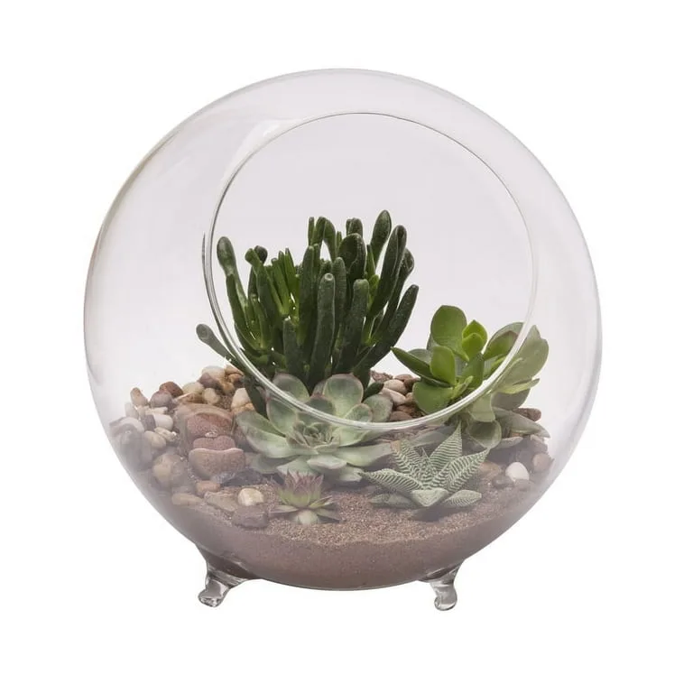 Panacea 10"D Large Glass Terrarium Sphere With Feet - Image 2