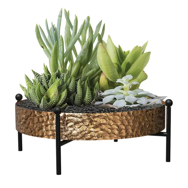 Panacea 10" Succulent Tray with Stand Hammered Copper Finsh