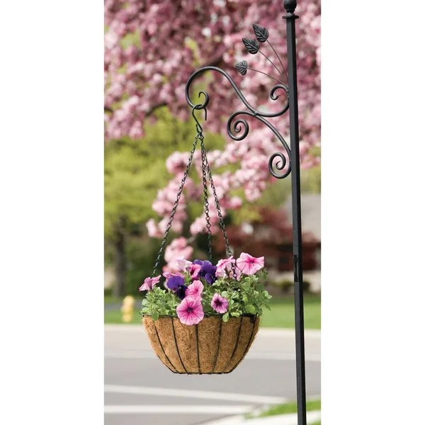 Panacea 12" Hanging Basket Growers Green