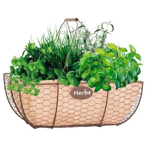 Panacea 14" Herb Basket With Burlap Liner Rust - Image 2