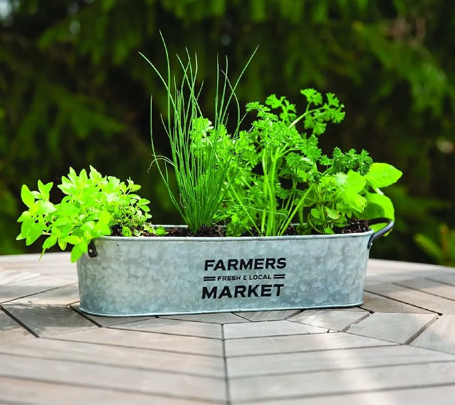 Panacea 16" Sm Farmer's Market Oval Planter Aged Galv - Image 2