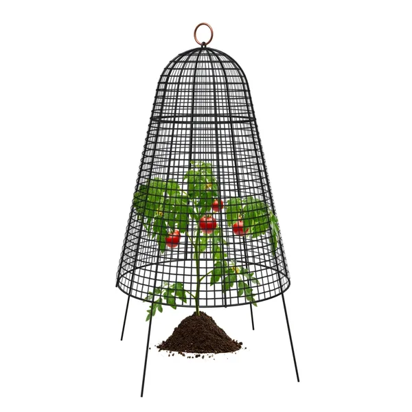 Panacea 20"X14" Modern Farmhouse Garden Cloche Plant Protector Bell Black with Copper Ring