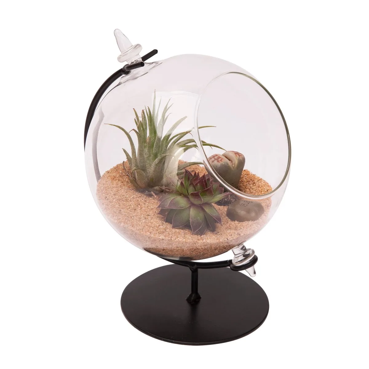 Panacea 4"D Desktop Glass Terrarium Planter With Metal Stand - Image 2