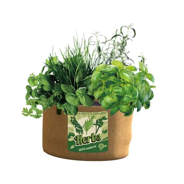 Panacea 5Gal Grow Bag Herbs - Image 2