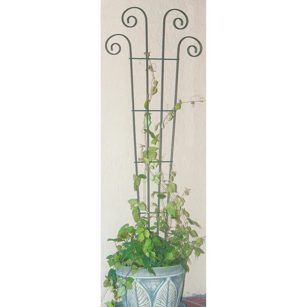 Panacea 60" Green Wave Trellis