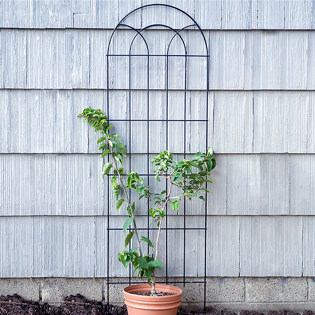 Panacea 72" Contemporary Wood Trellis Charcoal Black - Image 2
