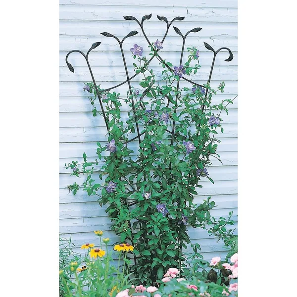 Panacea 80" Black Forged Fan Trellis With Leaves