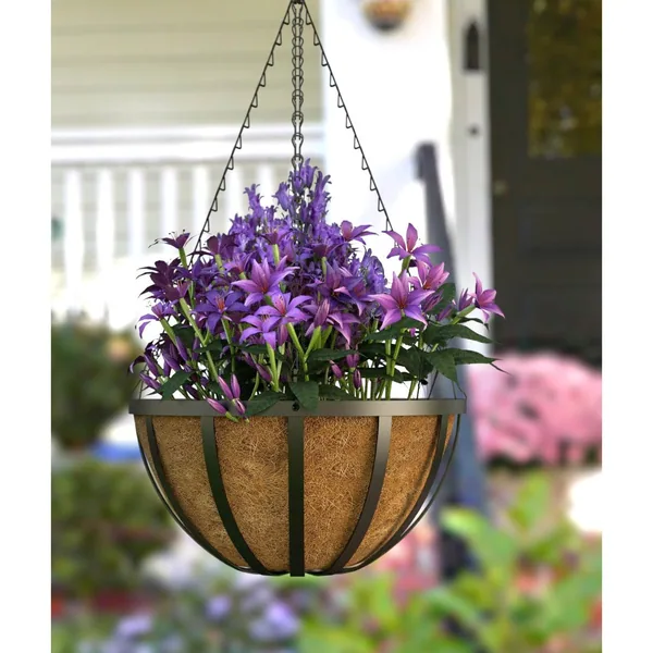 Panacea English Hanging Basket W/ Coco Liner