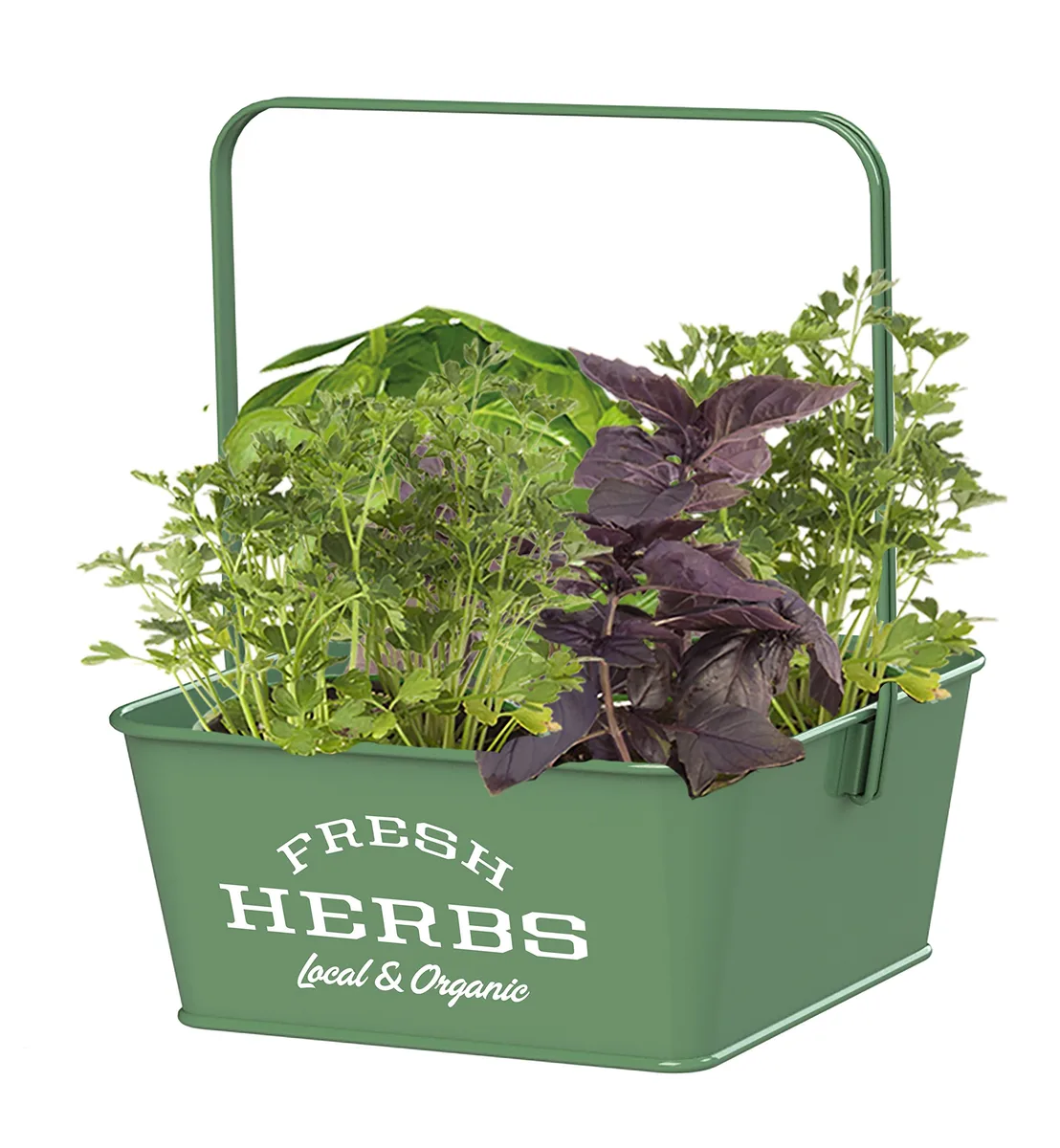 Panacea Sq Herb Planters With Handles Assorted Colors - Image 2