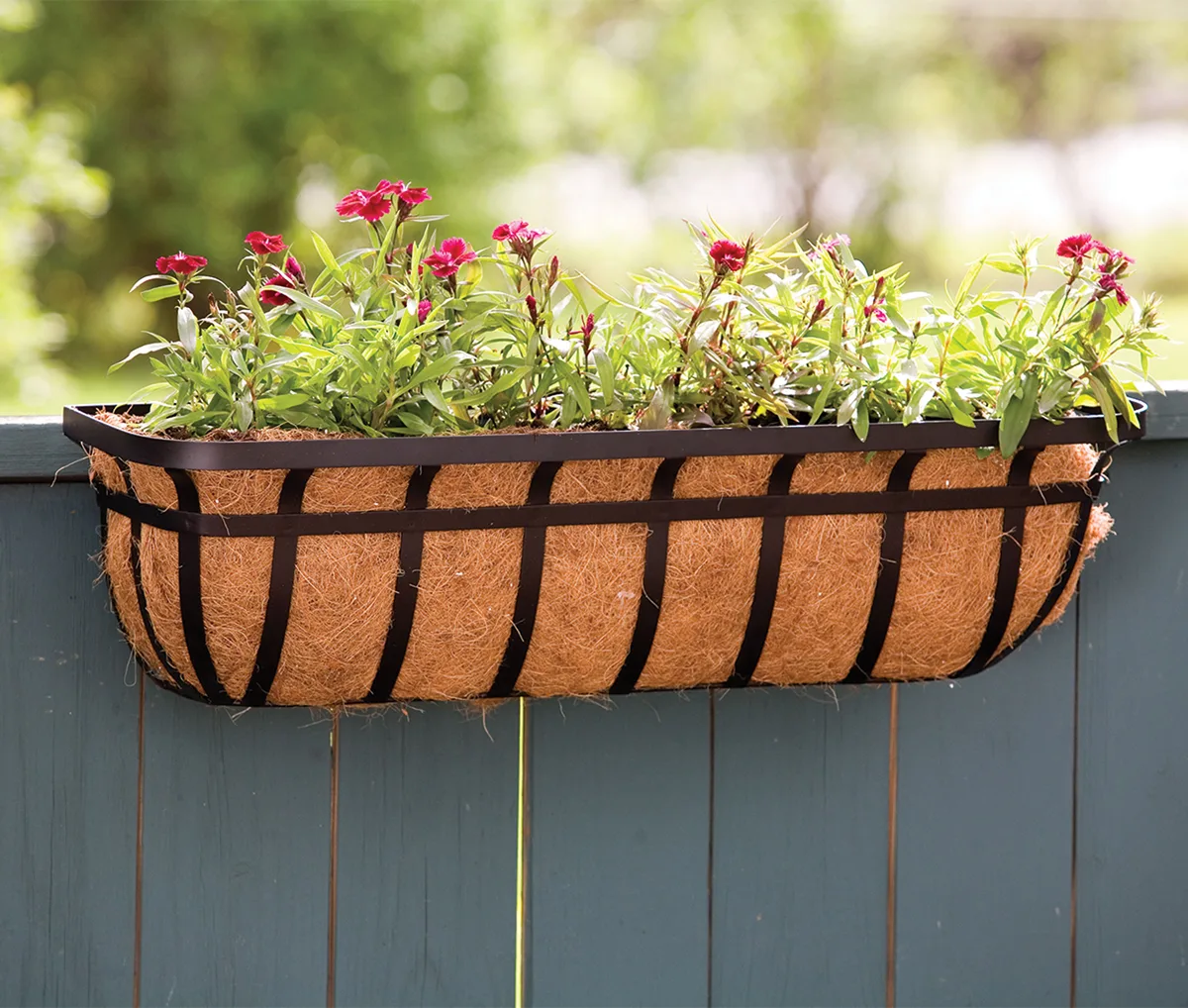 Panacea Wood/Wire No Glass Terrarium Planter - Image 2
