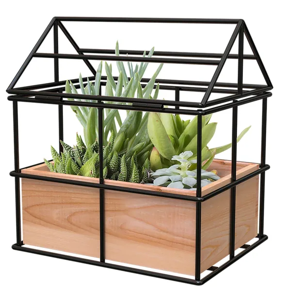 Panacea Wood/Wire No Glass Terrarium Planter