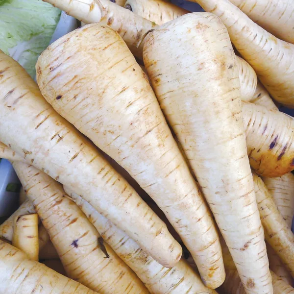 Parsnips, Harris Model 1/2oz