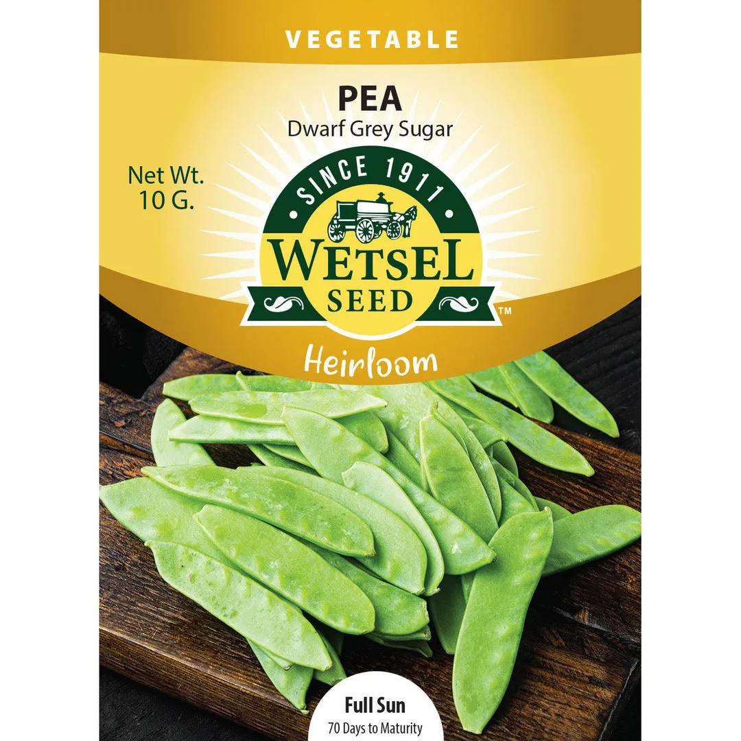 Pea, Heirloom Dwarf Grey Sugar 10 Grams - Image 2