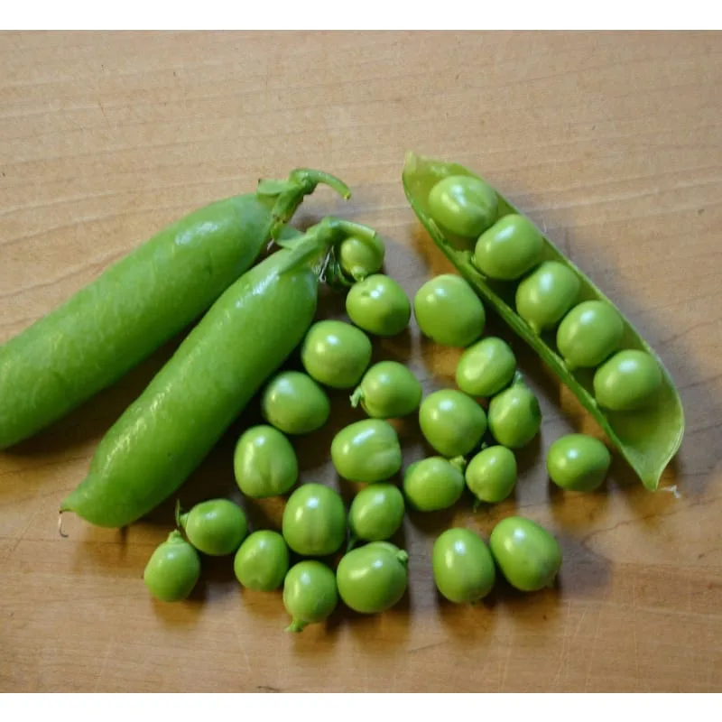 Peas, Early Frosty 1/2lb - Image 2