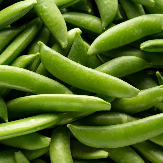 Peas, Sugar Snap 1/2lb - Image 2
