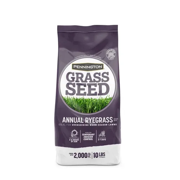 Penn 10 lbs Annual Ryegrass - Image 2