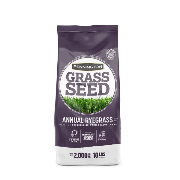 Penn 10 lbs Annual Ryegrass