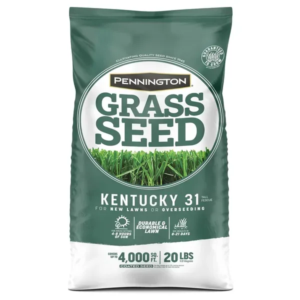 Penn 20 lbs Kentucky 31 Fescue Pk Pencoted - Image 2
