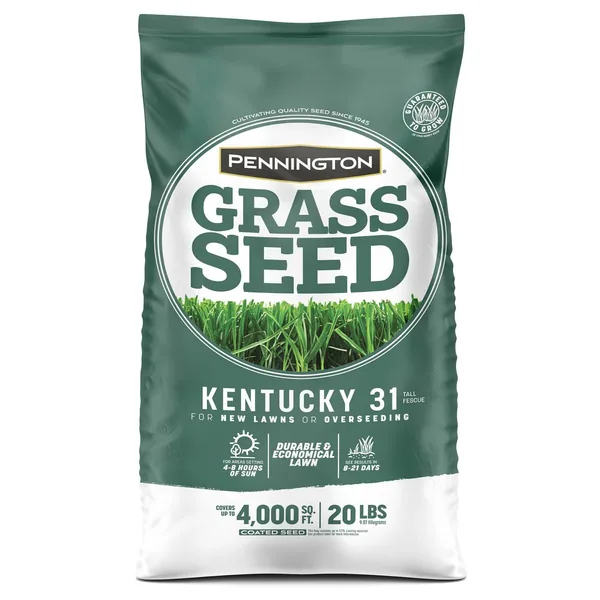Penn 20 lbs Kentucky 31 Fescue Pk Pencoted