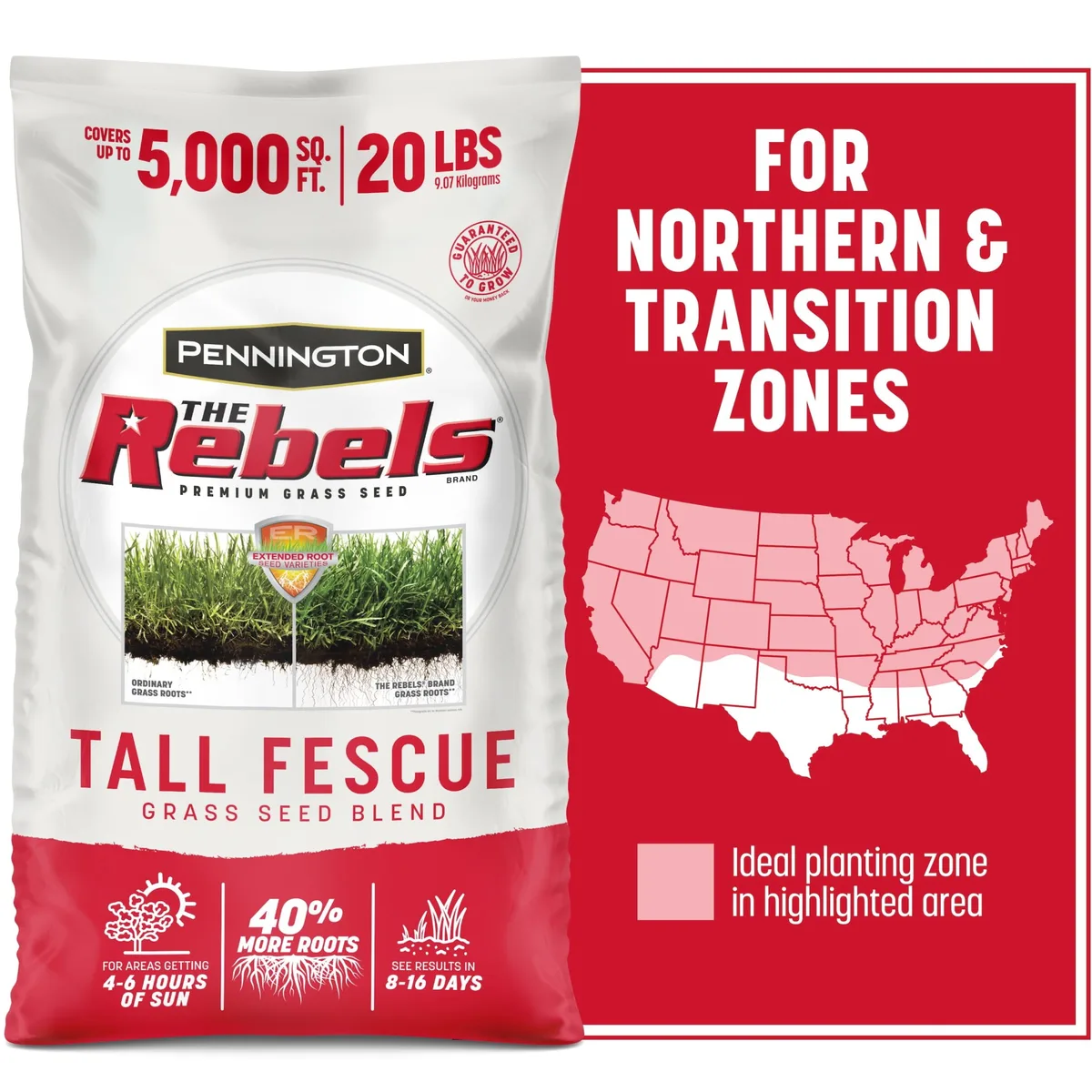 Penn 20 lbs The Rebels Tall Fescue Blend Pc - Image 2