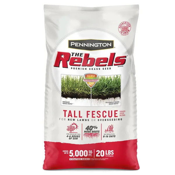 Penn 20 lbs The Rebels Tall Fescue Blend Pc