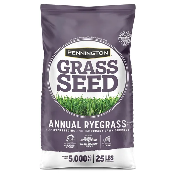 Penn 25 lbs Annual Ryegrass Retail