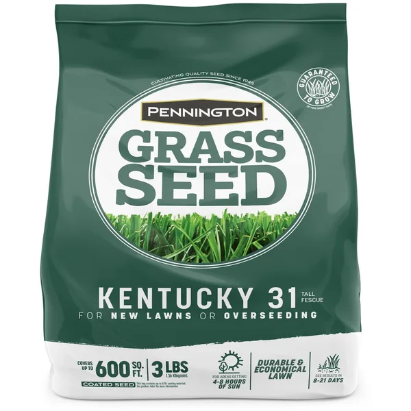 Penn 3 lbs Kentucky 31 Fescue Pk Pencoted