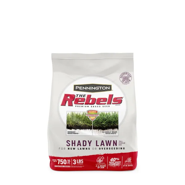 Penn 3 lbs The Rebels Shady Lawn Mix Pc