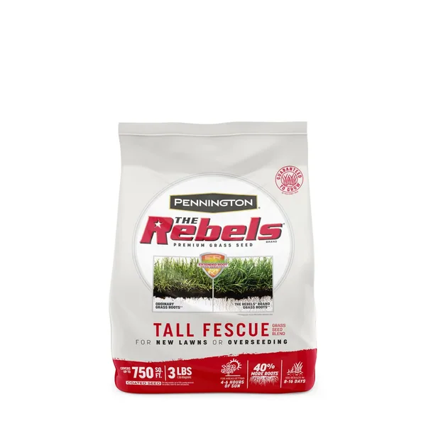 Penn 3 lbs The Rebels Tall Fescue Blend Pc