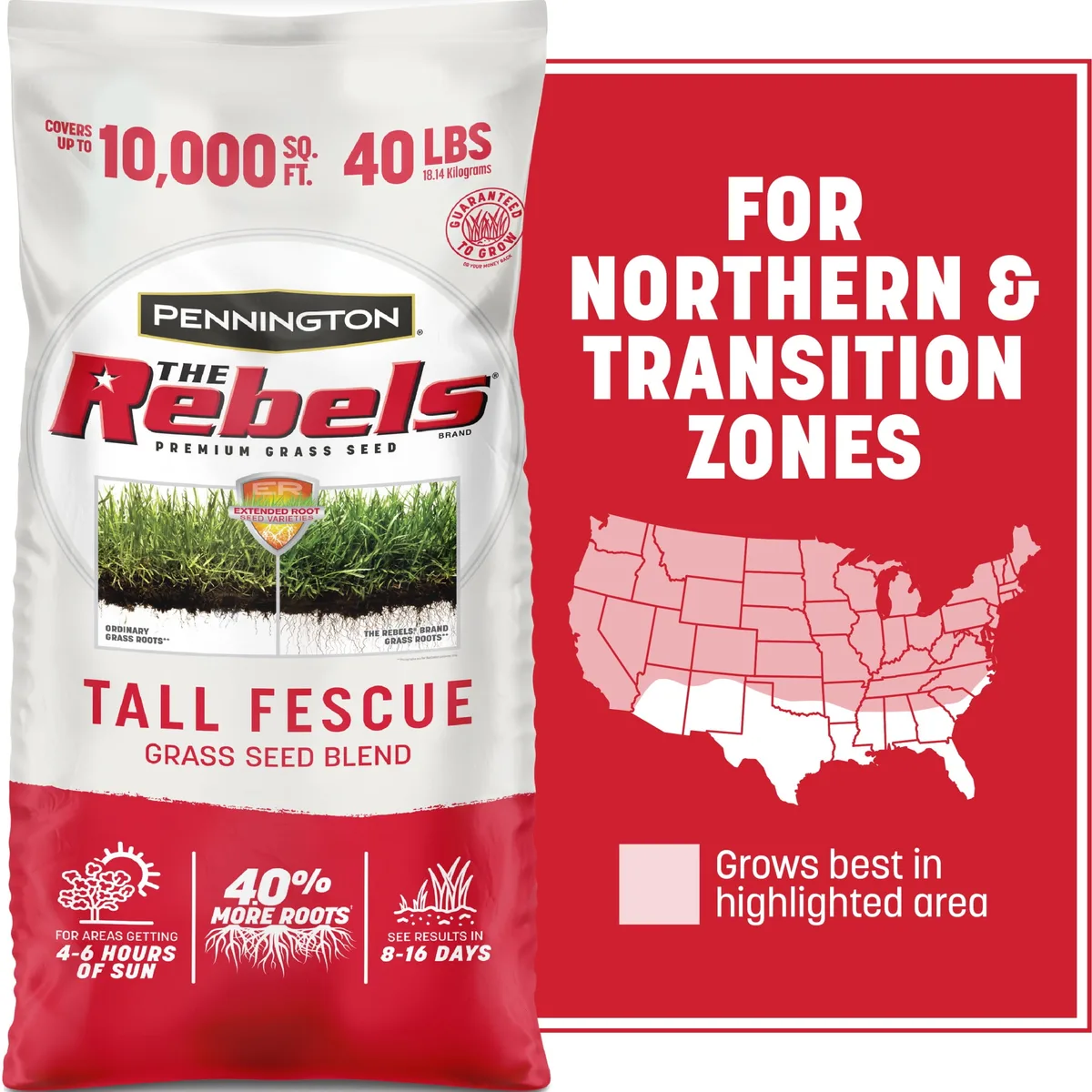 Penn 40 lbs The Rebels Tall Fescue Blend Pc - Image 2