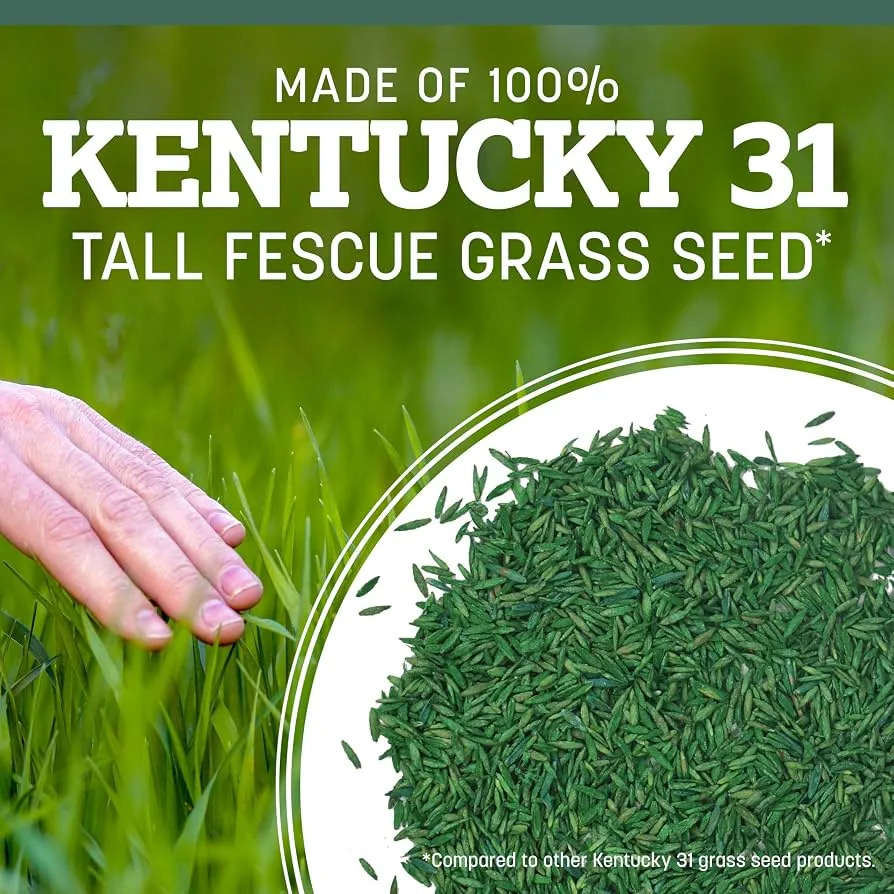 Penn 7 lbs Kentucky 31 Fescue Pk Pencoted - Image 2