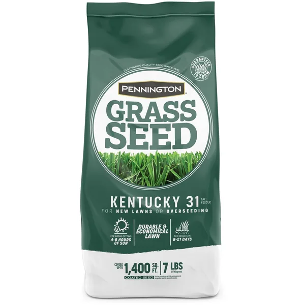 Penn 7 lbs Kentucky 31 Fescue Pk Pencoted