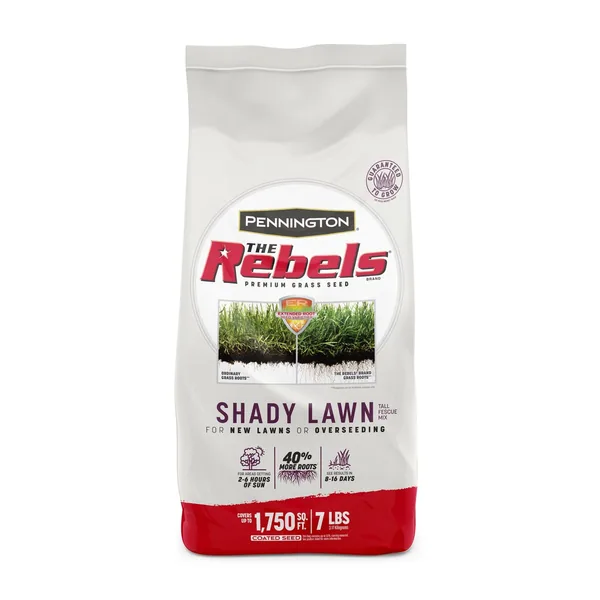 Penn 7 lbs The Rebels Shady Lawn Mix Pc